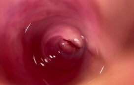 inside of a vaginas